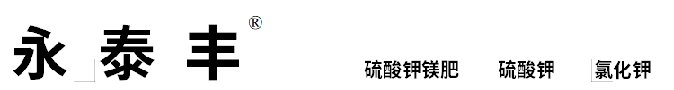 游艇会·yth(中国)最新官网